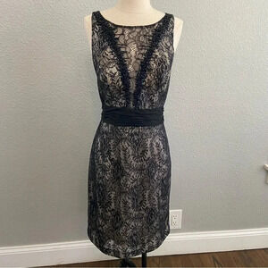 Hailey Adrianna Papell Lace Embellished Dress Size Medium EUC